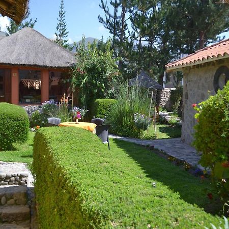 Miskiwasi Bed & Breakfast Yanque Luaran gambar